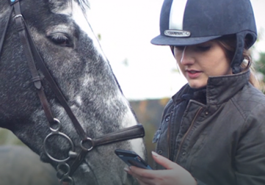 Equus England launch CrowdCube Campaign Equus England launch CrowdCube Campaign
